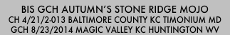 BIS GCH Autumn’s Stone Ridge Mojo
CH 4/21/2-013 Baltimore County KC Timonium MD
GCH 8/23/2014 Magic Valley KC Huntington WV