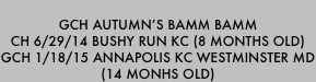 
GCH autumn’s bamm bamm
CH 6/29/14 Bushy RUn KC (8 months old)
GCH 1/18/15 Annapolis KC Westminster MD
(14 Monhs Old) 